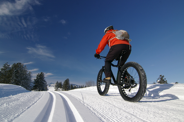 Fat Tire Biking