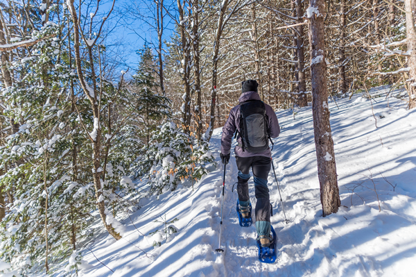 Snowshoeing